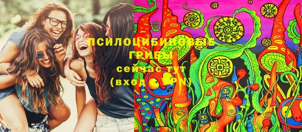 соль ск Ленинск