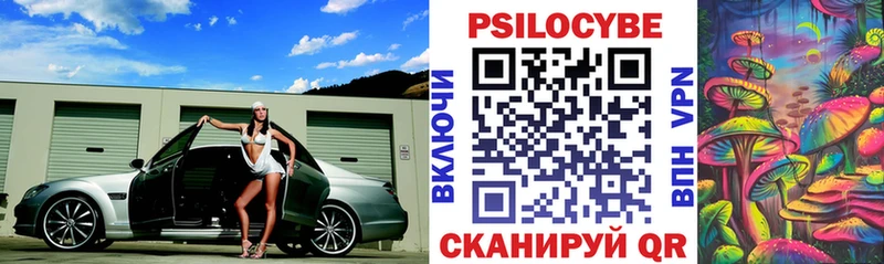 MEGA вход Салаир Псилоцибиновые грибы ЛСД